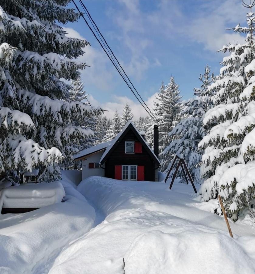 Villa Snowhite Jahorina Extérieur photo