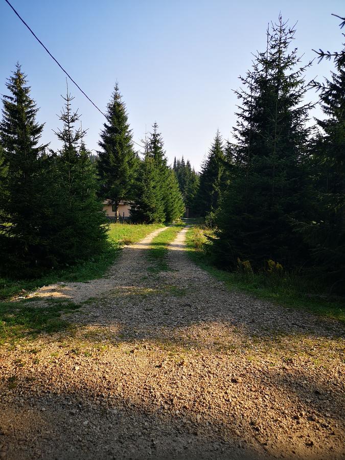 Villa Snowhite Jahorina Extérieur photo